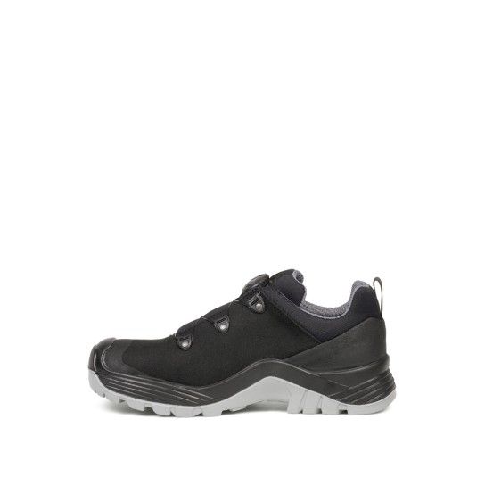 GLADE SPEED GREY GLADE SPEED GREY